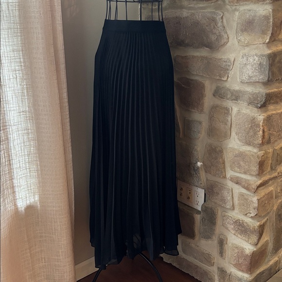CARBON38 Mesh Pleated Skirt - Picture 3 of 5